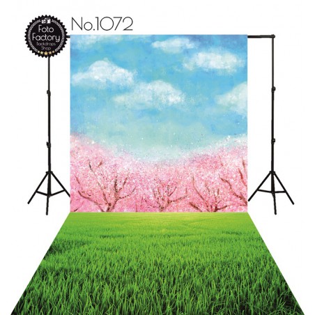 Backdrop 1072