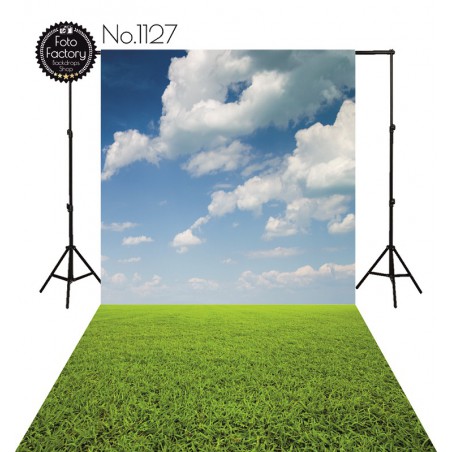 Backdrop 1127