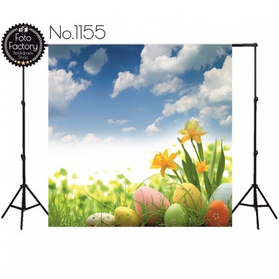 Backdrop 1155