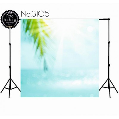 Backdrop 3105