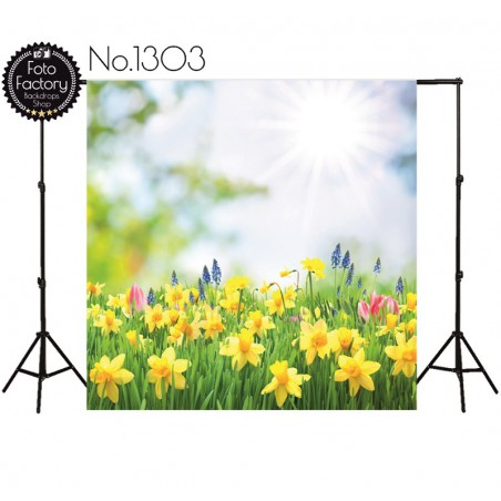 Tło fotograficzne 1303