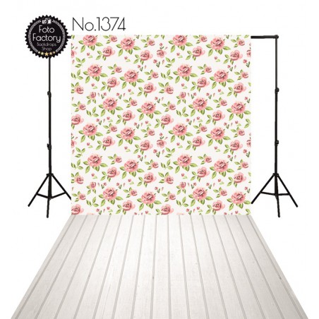 Backdrop 1374