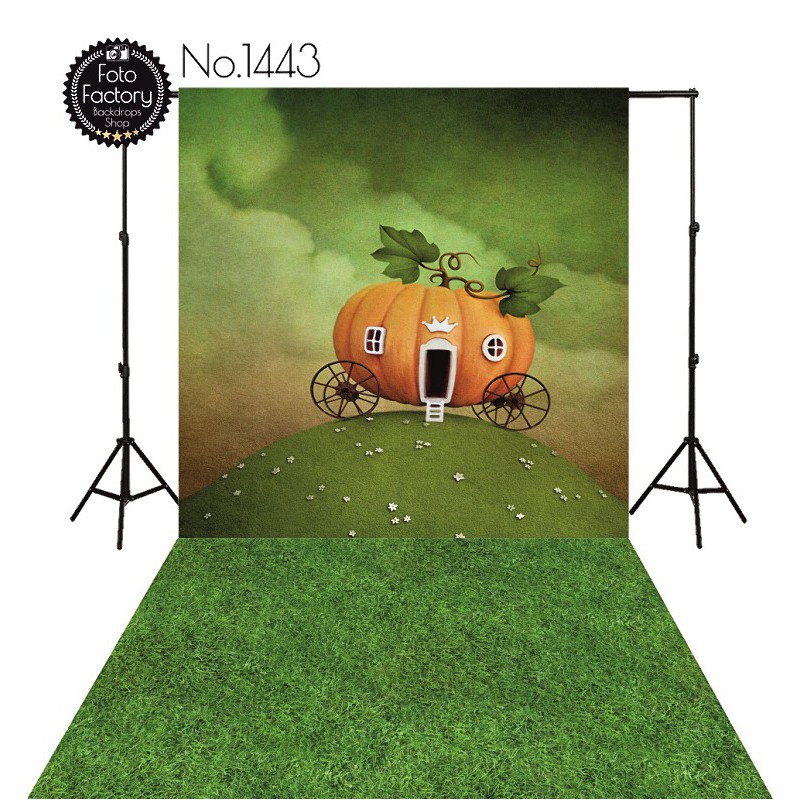 Tła fotograficzne 1443 Tła fotograficzne 1443