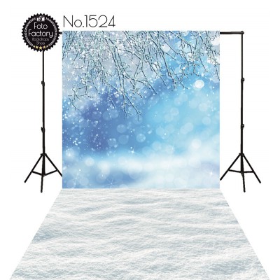 Backdrop 1524