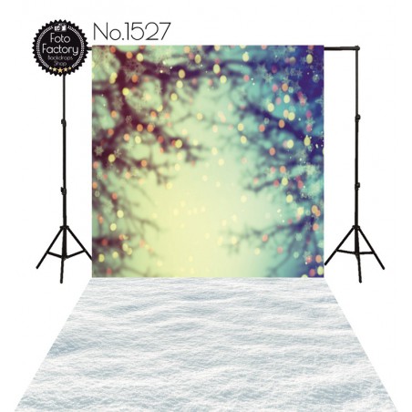 Backdrop 1527