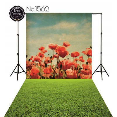 Backdrop 1562