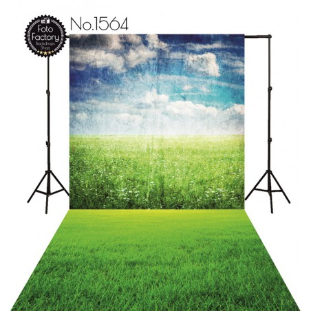 Backdrop 1564