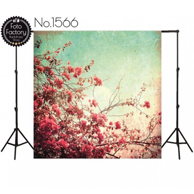 Backdrop 1566