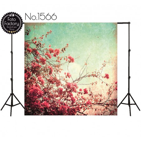 Backdrop 1566