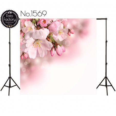 Backdrop 1569