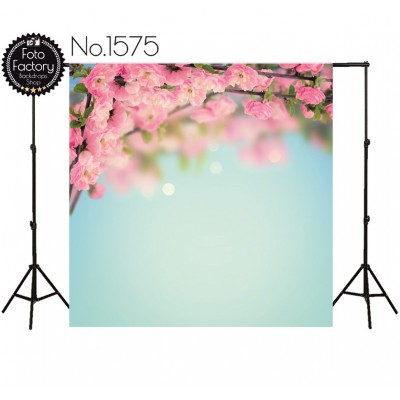 Backdrop 1575