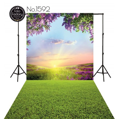 Backdrop 1592