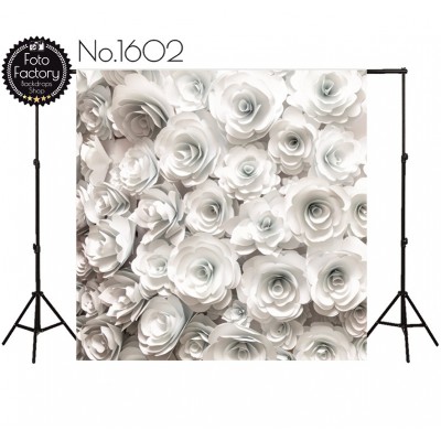 Backdrop 1602