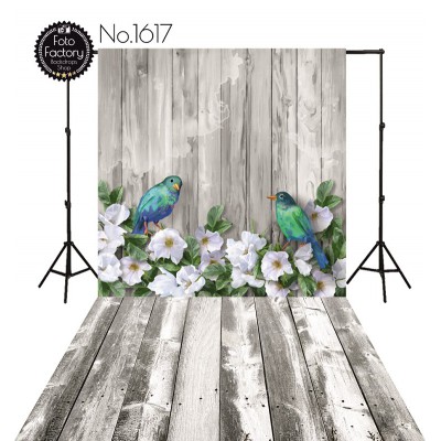 Backdrop 1617