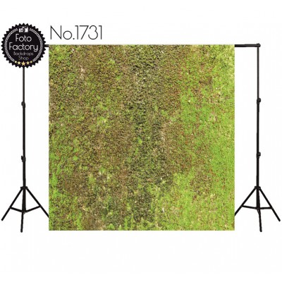 Backdrop 1731