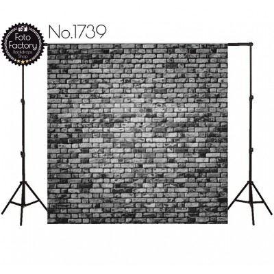 Backdrop 1739