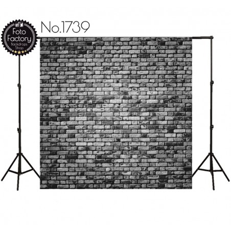 Backdrop 1739