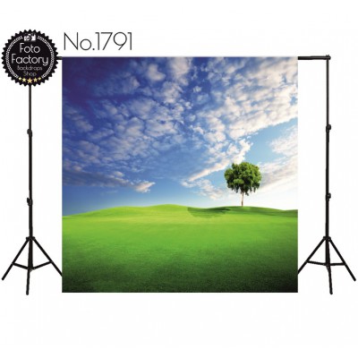 Backdrop 1791