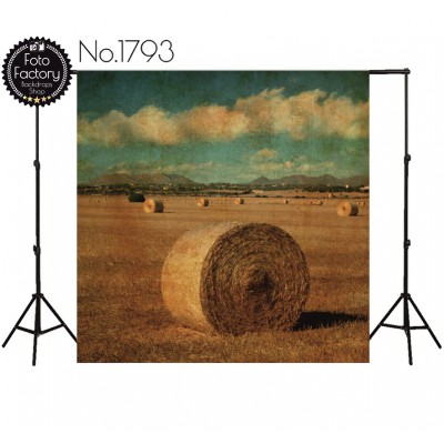 Backdrop 1793