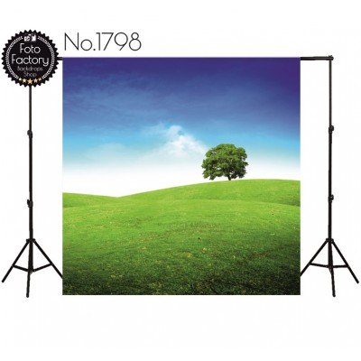 Backdrop 1798