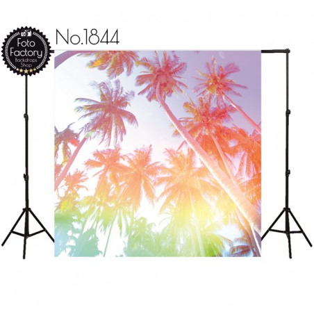 Tło fotograficzne 1844