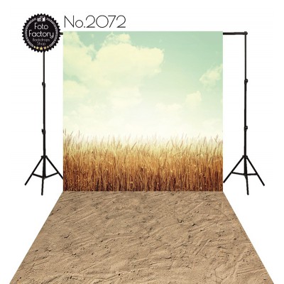 Backdrop 2072