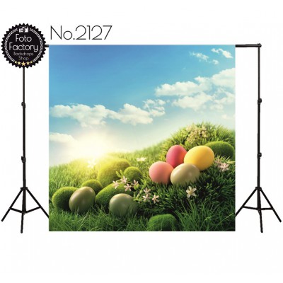 Backdrop 2127