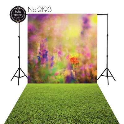 Backdrop 2193