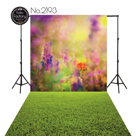 Backdrop 2193