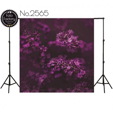 Tło fotograficzne 2565