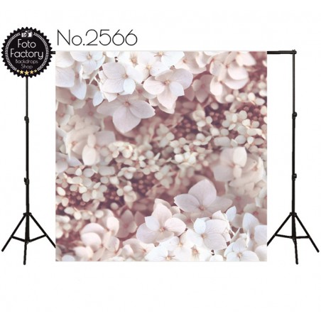 Tło fotograficzne 2566