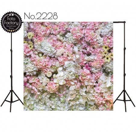 Backdrop 2228