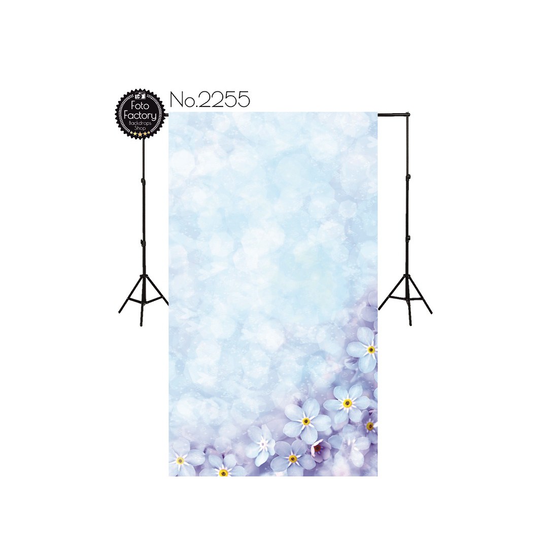 Backdrop 2255