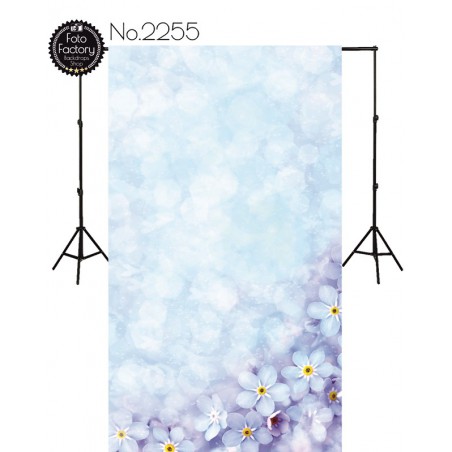 Backdrop 2255