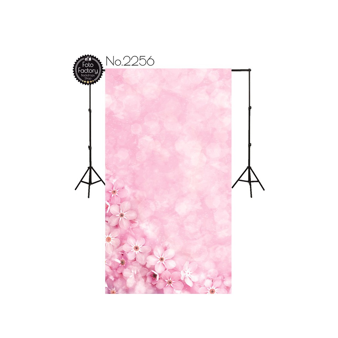 Backdrop 2256