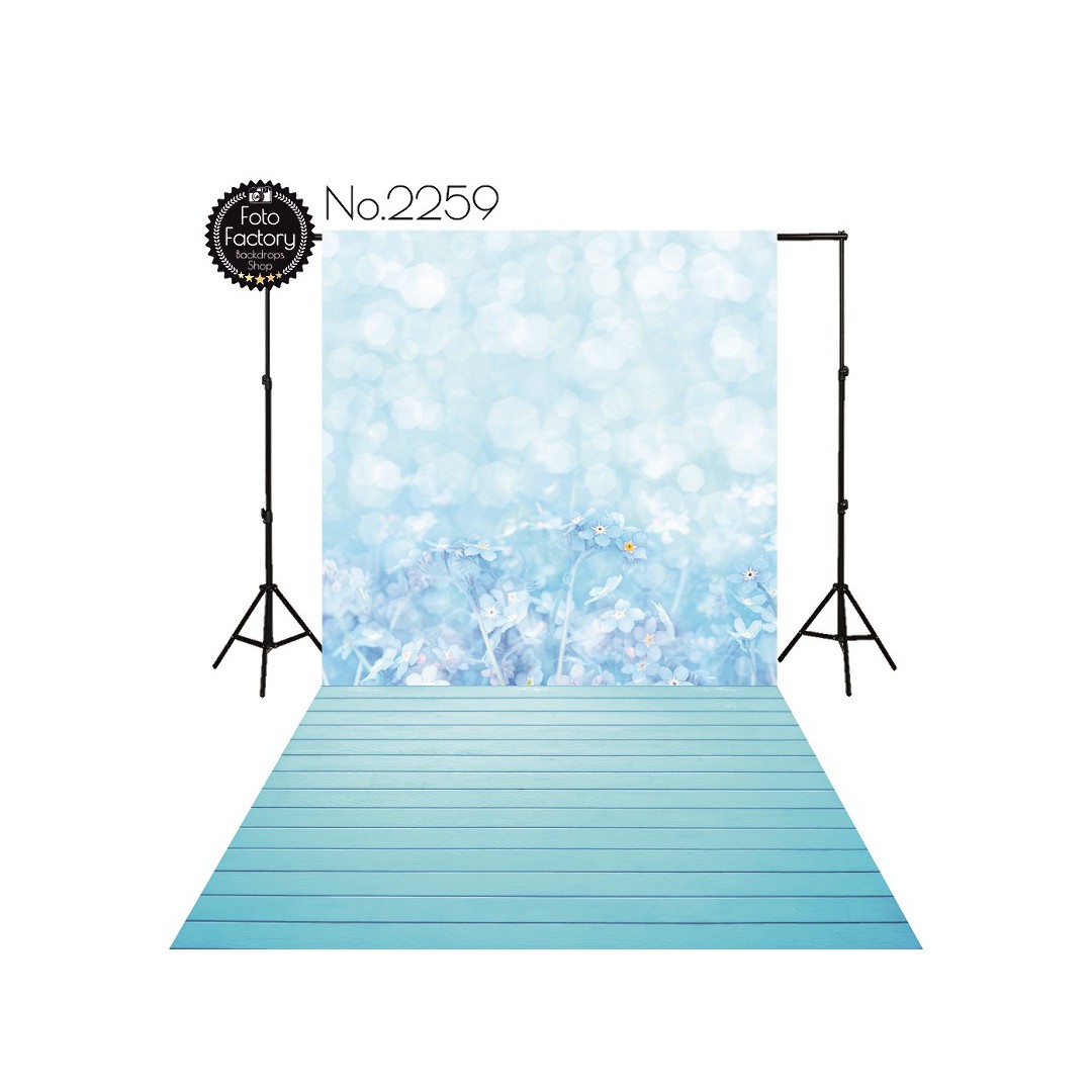 Backdrop 2259