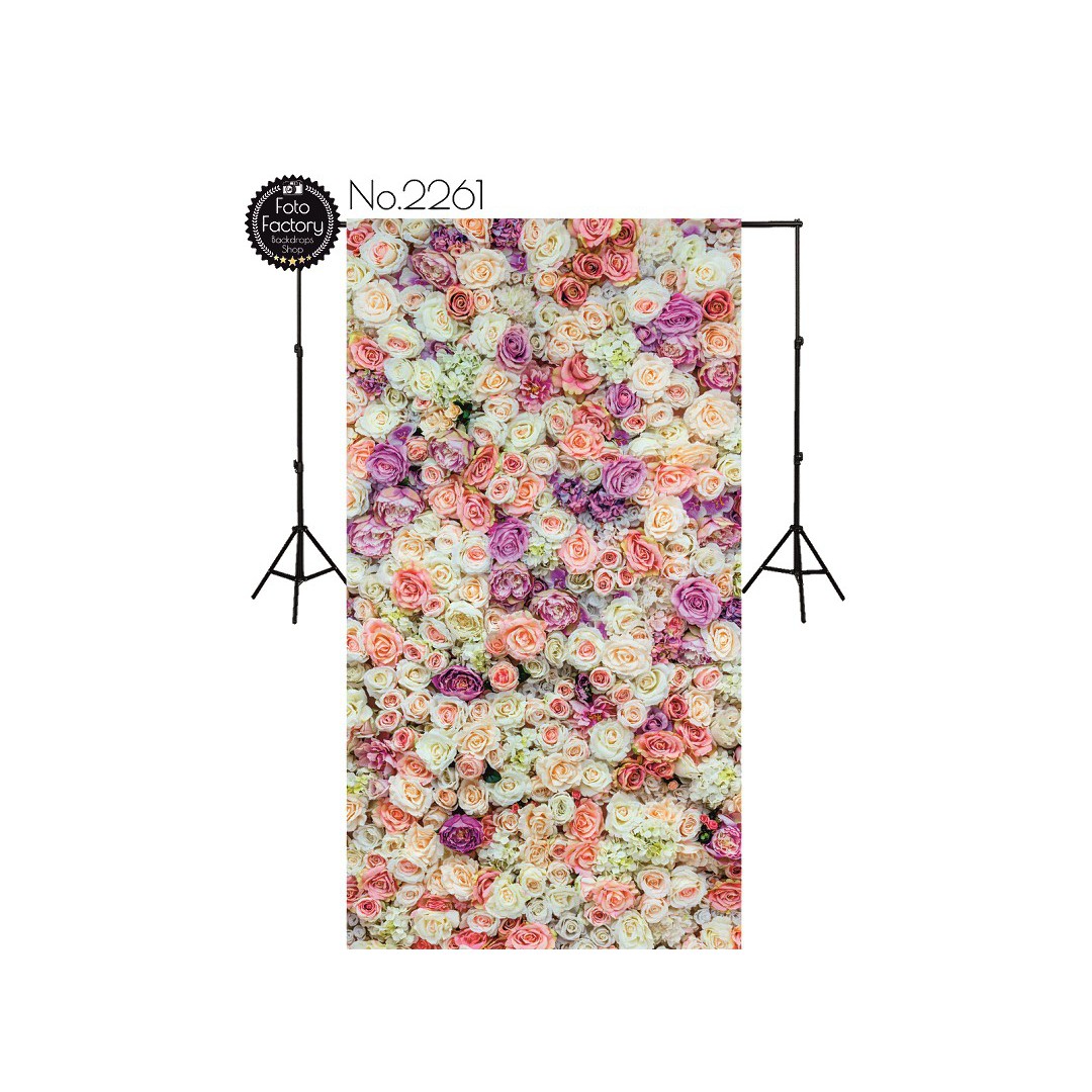 Backdrop 2261