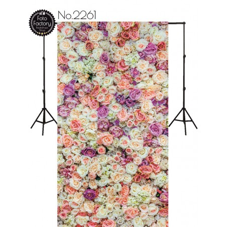 Backdrop 2261