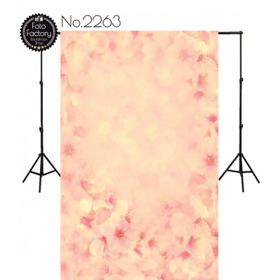 Backdrop 2263