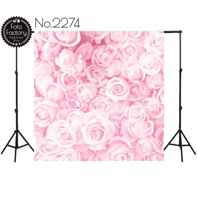 Backdrop 2274