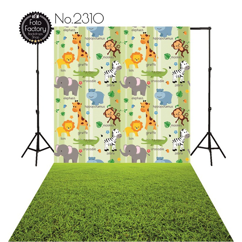 Backdrop 2310 Backdrop 2310