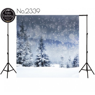 Backdrop 2339