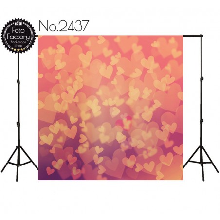 Tło fotograficzne 2437