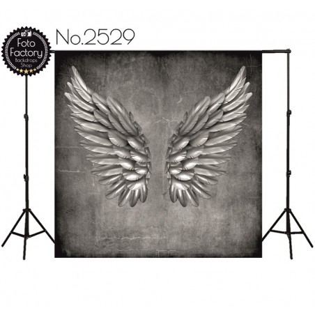 Backdrop 2529