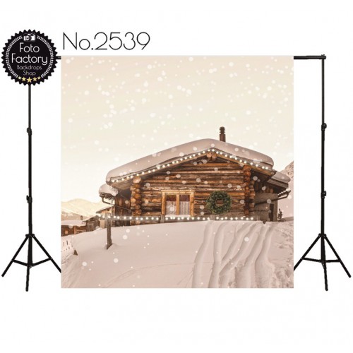 Tło fotograficzne 2539