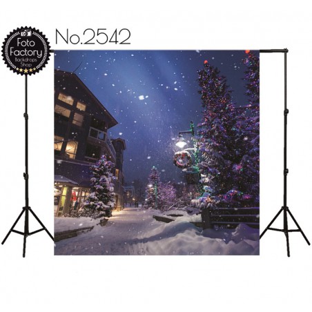 Tło fotograficzne 2542