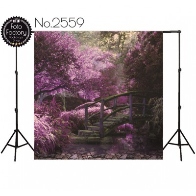 Backdrop 2559