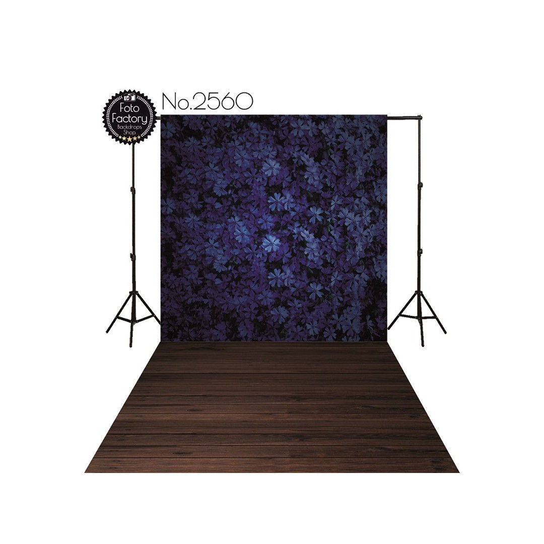 Backdrop 2560