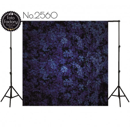 Backdrop 2560