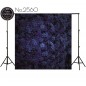 Backdrop 2560